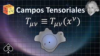 Tensores  31 Campos Tensoriales [upl. by Bramwell444]