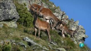 Grandes DocumentalesNockberge Montañas a las puertas del cielo [upl. by Noramac]