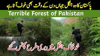 Terrible forest of Pakistan  The Forest Where Fear Comes Even During The Day  Soon Valley Khushab [upl. by Ttegirb]