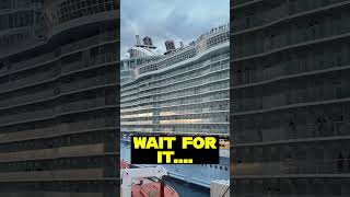 Most PREMIUM cruise package ever cruise msc royalcaribbean [upl. by Chladek750]