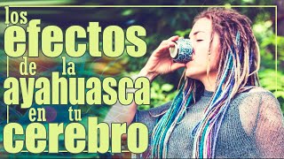 Los EFECTOS de la AYAHUASCA en el CEREBRO [upl. by Loydie]