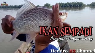 Ikan Kelabausempadi Sungai cabang SumatraLampung tengah mancing disini ngk akan kecewa [upl. by Onia]