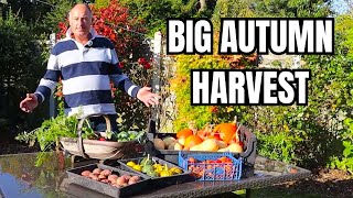 The Ultimate Autumn Harvest Experience  BIG AUTUMN HARVEST😱 [upl. by Hawk143]