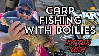 DO BOILIES REALLY WORK BEST CARP BAIT IN THE WORLD [upl. by Fessuoy]