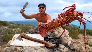 Bare Handed Catching LOBSTER in Rock Pools  Catch and Cook [upl. by Coney221]