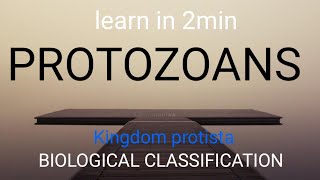 PROTOZOANS Kingdom protistaBIOLOGICAL CLASSIFICATION neet2025 biolgy ncertstudy [upl. by Atikaj]