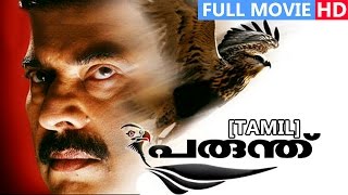 Tamil Full Movie  Parunthu  Ft Mammootty Rai Lakshmi Jagathi Sreekumar [upl. by Iolande]