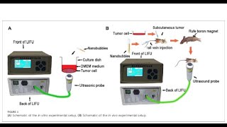 PLGA from PolySciTech used in development of delivery of genes for bone cancer treatment [upl. by Enirahtac224]