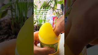 Talisa Tossells Slime Review shorts youtubeshorts talisatossell slime asmr tiktok [upl. by Esertal]