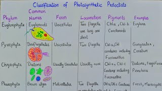 The algae plant like protists  classification of photosynthetic protoctista  class 11 [upl. by Lemrahc]