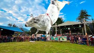 JARIPEO EN SAN MIGUEL CHARAHUEN MICHOACAN 30 DE OCTUBRE DEL 2024 ¡¡ [upl. by Anola25]