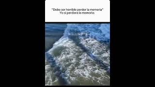 Perder la memoria edit [upl. by Margarida]