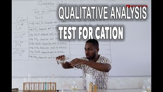 Qualitative Analysis of cation part 1 Chemistry Practicals [upl. by Erialcyram]