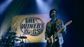 The Winery Dogs Unleashed in Japan Full DVD 2014 [upl. by Aknaib865]