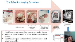 Title Terahertz Imaging of Excised Breast Cancer Tumors Using Human and Animal Models [upl. by Bass]