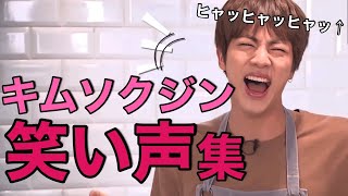 日本 語 字幕 BTS  ８分耐久 キムソクジン 笑い声集【BTS】Kimseokjin that laughs for eight minutes [upl. by Yeldahc]