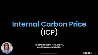 Internal Carbon Prices will help your Organisation reach Net Zero [upl. by Girardo182]