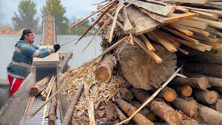 Live Stream Giant Logs and Extreme Work at the Sawmill [upl. by Ymmij]