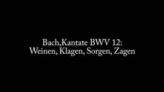 Johann Sebastian Bach Kantate BWV 12 Weinen Klagen Sorgen Zagen [upl. by Surtimed]