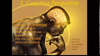 Psych 1  010403 Cognitive Perspective [upl. by Eselehs109]