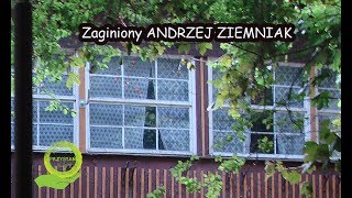 APOKALIPSA ZAUFANIA  zaginiony Andrzej Ziemniak [upl. by Negaem]