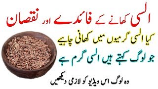 Alsi Ke Beej ke Fayde  Flax seeds khane ke fayde  Alsi ke beej benefits  Flax seeds benefits [upl. by Eseerahs]