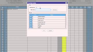 Deltek Time amp Expense Training Video Basics [upl. by Llohcin]