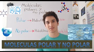 Moleculas polar y no polar Hidrofóbico e hidrofílico EN 2 MINUTOS [upl. by Enenej]