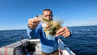 Two days of UK boat fishing Mixed bag from inshore and out on rough ground [upl. by Wamsley]