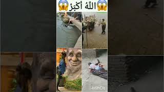 Allah makkah madina🕋🤲 islamicvideo islamic viral shorts islamicstatus [upl. by Venetis]