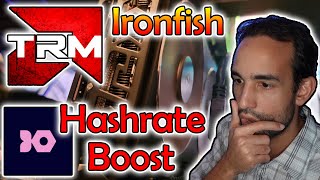 Team Red Miner Boost Ironfish Hashrate on AMD GPUs [upl. by Northway]