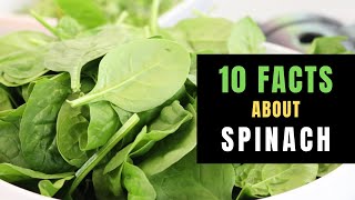 10 INTERESTING FACTS ABOUT SPINACH [upl. by Geis]