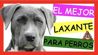 LAXAVET ¿El Mejor Laxante para Perros [upl. by Nahrut256]