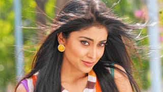 Daringbaaz Lover l Shriya Saran l South Superhit Romantic Comedy Movie l Dhanush Prakash Raj [upl. by Akinej]