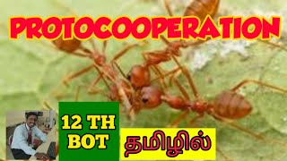 PROTOCOOPERATION  TAMIL  BIOTIC FACTOR  PRINCIPLES OF INHERITANCE  STD 12  TNSCERT [upl. by Thor]