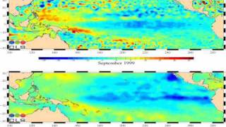 AVISO Tropical Pacific Sea Level Anomaly and Sea Surface Temperature Anomaly Animation Fast [upl. by Ardnaz]