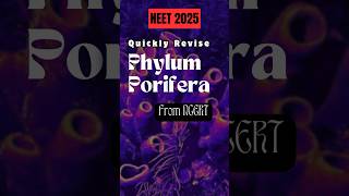 NEET Quick Revision➡️ Phylum Porifera  Class 11th Biology  NCERTneet2025neetbioclass11thshorts [upl. by Yenots]