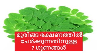 Health Benefits of Moringa മുരിങ്ങ ഭക്ഷണത്തിൽ ചേർക്കുന്നതിനുള്ള 7 ഗുണങ്ങൾ Muringa [upl. by Valsimot]