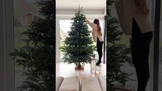 Tannenbaum aufstellen amp schmücken 🎄 mit der ganzen Familie 😍 shorts Mamiseelen [upl. by Frum]