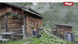 Leben auf der Alm  Almhütten in Tirol Österreich 🐮 [upl. by Asiil]