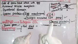 Gamete Fusion And Prevention Of Polyspermy  Ch 4  Lec No 16  Developmental Biology  BS Zoology [upl. by Able]