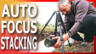 Automatic FOCUS STACKING on any camera [upl. by Yllim355]