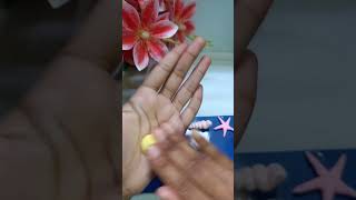 DIY seashells Seashell diy diycrafts craft views viralshorts viralreels [upl. by Jehovah49]