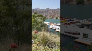 Khorfakkan 🚢 Boat Ridings  UAE khorfakkan uae خورفكان امارات [upl. by Eyahsal543]