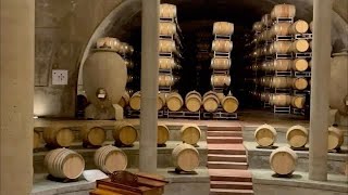 Visita a Bodega Salentein en Mendoza Argentina Tour del vino [upl. by Joanie]