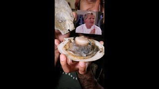 Lets Try Gordon Ramsays SCALLOPS [upl. by Larimore]