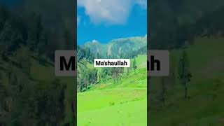 Heart full recitation islamicshorts quranexplore ytshorts travel viralshorts viralshort [upl. by Rahman]