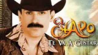 EL CHAPO DE SINALOA te va gustar [upl. by Anoj]