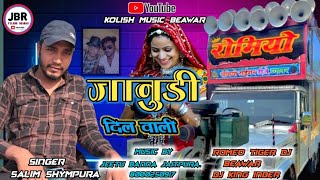 जानुडी दिल वाली  सलीम श्यामपुरा  Janudi Dil wali  salim shympura  kolish music Beawar [upl. by Anivel]