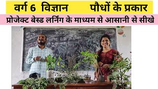 पौधों के प्रकार  class 6 science  class 6 topic  class 6 project based learning  class 6 [upl. by Celestyn]